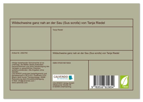 Produktbild: Wildschweine ganz nah an der Sau (Sus scrofa) von Tanja Riedel (Tischkalender 2026 DIN A5 quer), CALVENDO Monatskalender