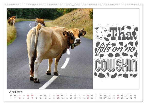 Produktbild: Tierisch Denglisch (Wandkalender 2026 DIN A2 quer), CALVENDO Monatskalender