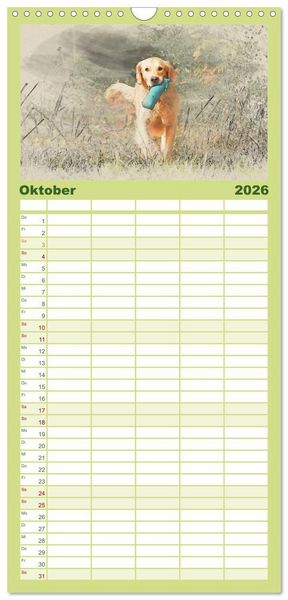 Produktbild: Familienplaner 2026 - Golden Retriever mit 5 Spalten (Wandkalender, 21 x 45 cm) CALVENDO