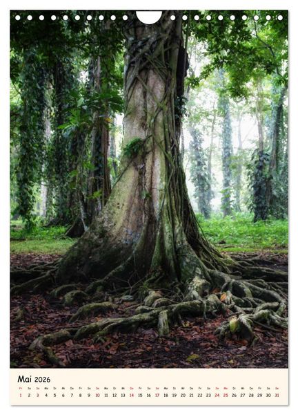 Produktbild: Weltreise Natur - Impressionen rund um den Globus (Wandkalender 2026 DIN A4 hoch), CALVENDO Monatskalender