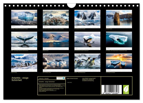 Produktbild: Antarktis - eisige Sch&ouml;nheit (Wandkalender 2026 DIN A4 quer), CALVENDO Monatskalender