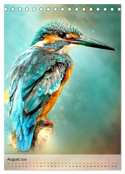 Produktbild: Schillernder Eisvogel (Tischkalender 2026 DIN A5 hoch), CALVENDO Monatskalender