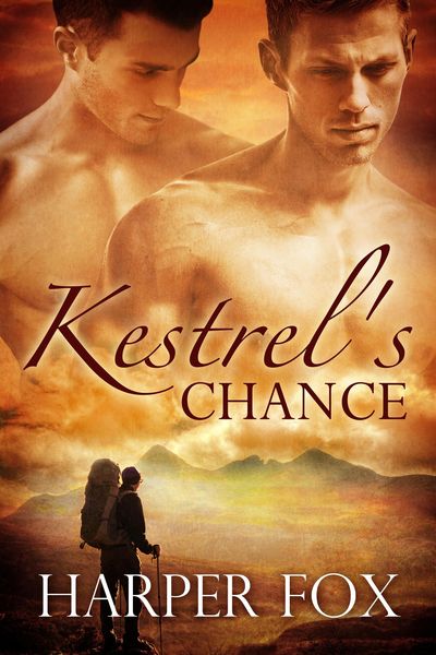 Produktbild: Kestrel's Chance