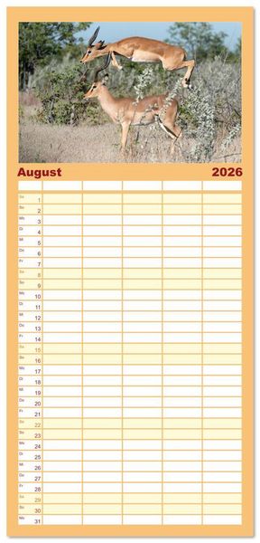 Produktbild: Familienplaner 2026 - Action in der Savanne mit 5 Spalten (Wandkalender, 21 x 45 cm) CALVENDO