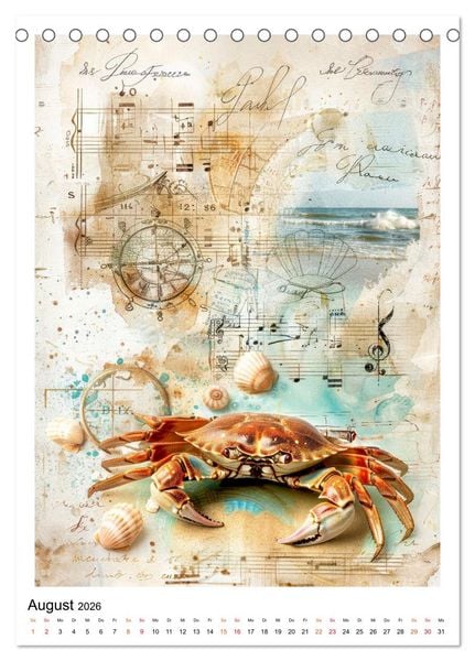 Produktbild: Sand.Salz.Meer. (Tischkalender 2026 DIN A5 hoch), CALVENDO Monatskalender