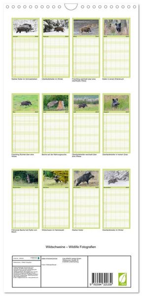 Produktbild: Familienplaner 2027 - Wildschweine &ndash; Wildlife Fotografien mit 5 Spalten (Wandkalender, 21 x 45 cm) CALVENDO