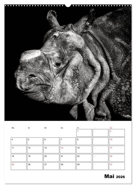 Produktbild: Charakterk&ouml;pfe aus der Welt der Tiere (hochwertiger Premium Wandkalender 2026 DIN A2 hoch), Kunstdruck in Hochglanz