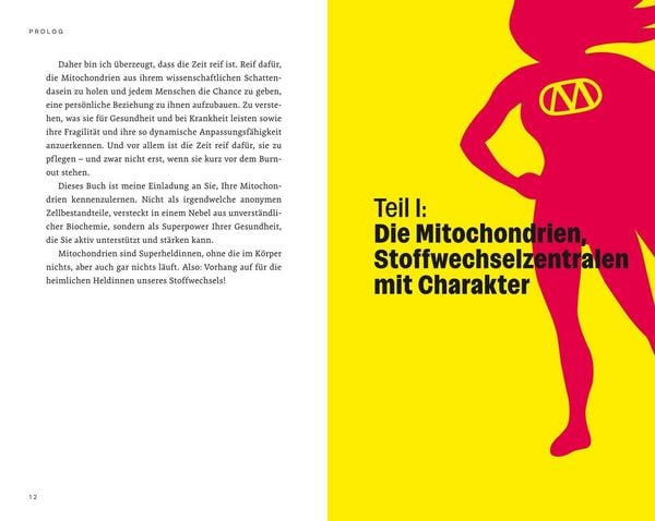 Produktbild: Die heimlichen Heldinnen des Stoffwechsels