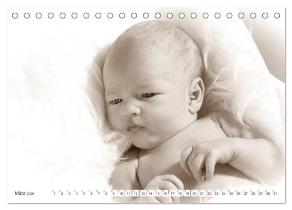 Produktbild: Babys - Willkommen im Leben (Tischkalender 2026 DIN A5 quer), CALVENDO Monatskalender