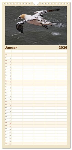 Produktbild: Familienplaner 2026 - Helgoland und die D&uuml;ne mit 5 Spalten (Wandkalender, 21 x 45 cm) CALVENDO