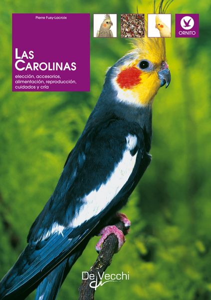 Produktbild: Las carolinas