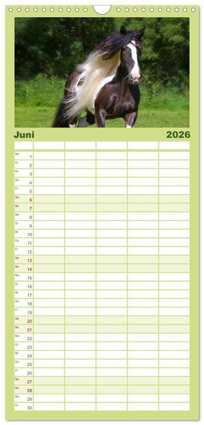 Produktbild: Familienplaner 2026 - Irish Tinker mit 5 Spalten (Wandkalender, 21 x 45 cm) CALVENDO