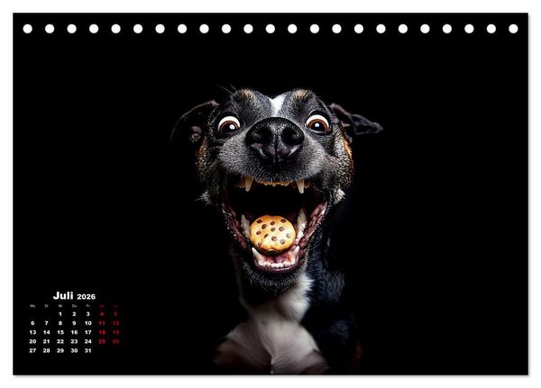 Produktbild: Leckerchen! (Tischkalender 2026 DIN A5 quer), CALVENDO Monatskalender