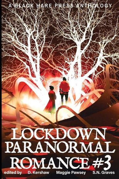 Produktbild: LOCKDOWN paranormal Romance #3