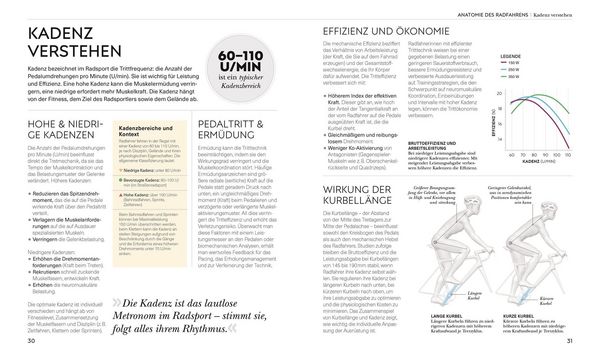 Produktbild: Radsport &ndash; die Anatomie verstehen