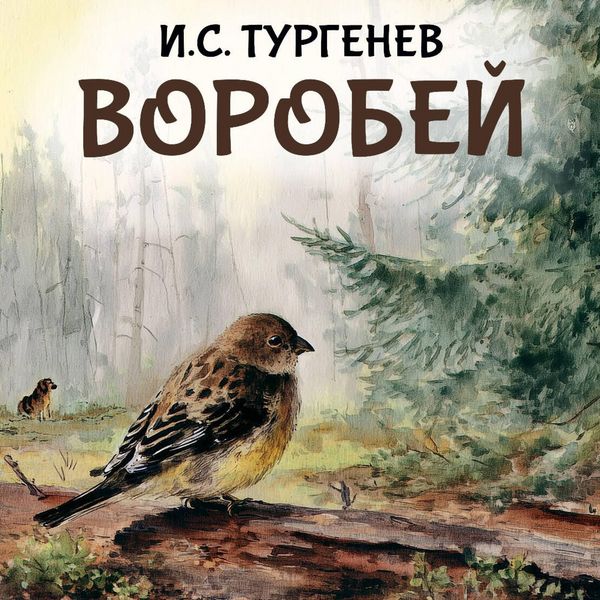 Produktbild: Vorobey