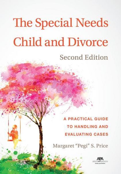 Produktbild: The Special Needs Child and Divorce