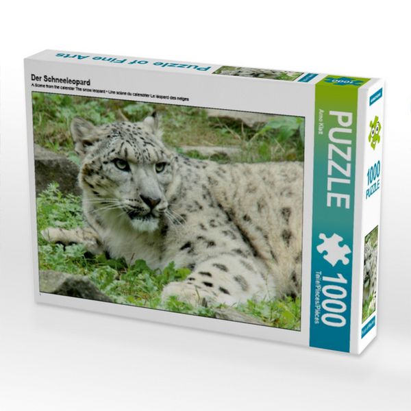 CALVENDO Puzzle Der Schneeleopard | 1000 Teile Lege-Größe 64x48cm Foto-Puzzle für glückliche Stunden