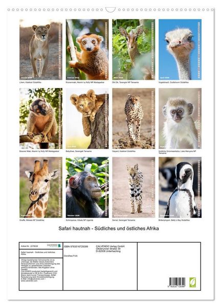 Produktbild: Safari hautnah - S&uuml;dliches und &ouml;stliches Afrika (Wandkalender 2026 DIN A2 hoch), CALVENDO Monatskalender