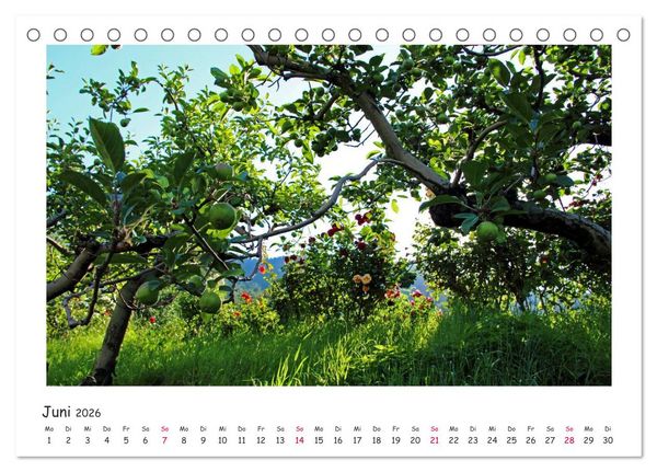 Produktbild: Tor des S&uuml;dens (Tischkalender 2026 DIN A5 quer), CALVENDO Monatskalender