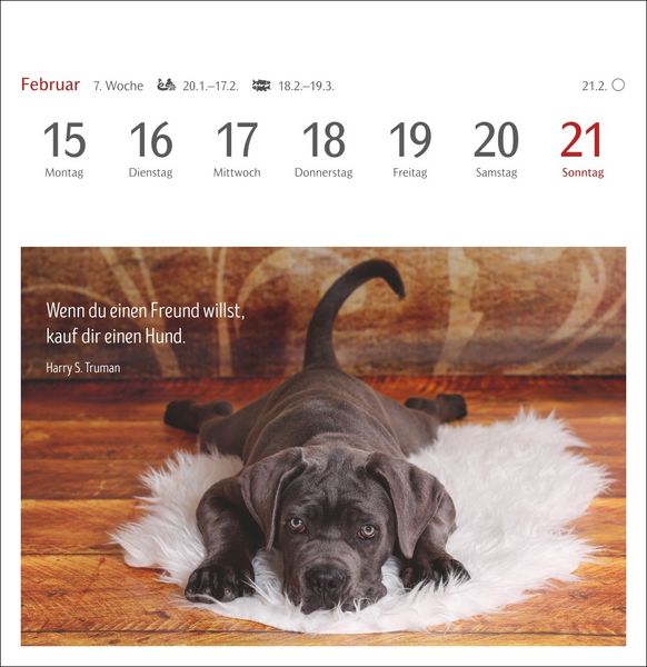Produktbild: Hunde Premium-Postkartenkalender 2027 - Freunde auf vier Pfoten; Kalender mit 53 Postkarten