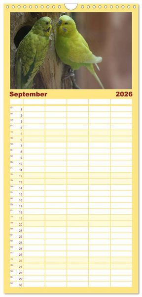 Produktbild: Familienplaner 2026 - Wellensittiche - Gefiederte Freunde mit 5 Spalten (Wandkalender, 21 x 45 cm) CALVENDO