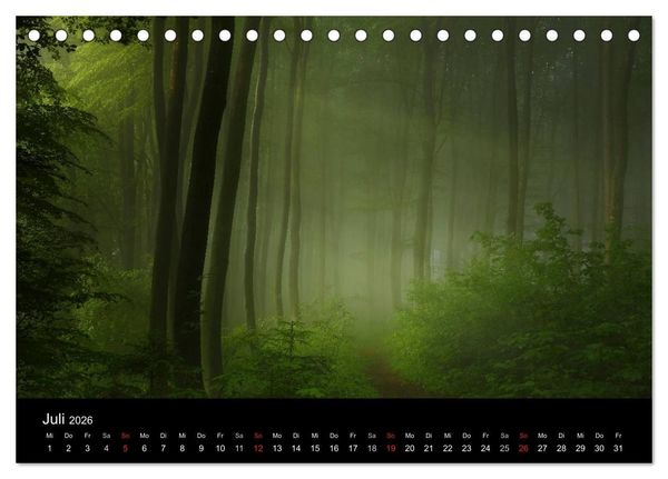 Produktbild: Mysterium Wald (Tischkalender 2026 DIN A5 quer), CALVENDO Monatskalender