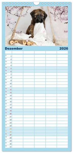 Produktbild: Familienplaner 2026 - Briardbabys in ihren ersten Wochen mit 5 Spalten (Wandkalender, 21 x 45 cm) CALVENDO