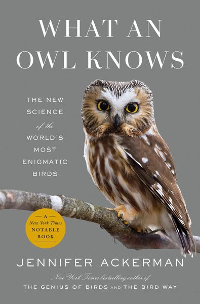 Produktbild: What an Owl Knows