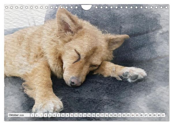 Produktbild: Niedliche Hunde - Digitale Aquarelle (Wandkalender 2026 DIN A4 quer), CALVENDO Monatskalender