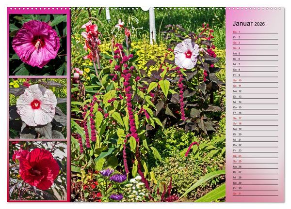 Produktbild: Bl&uuml;hende Gartenparks in Mannheim (hochwertiger Premium Wandkalender 2026 DIN A2 quer), Kunstdruck in Hochglanz