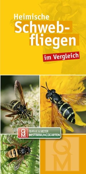 Produktbild: Heimische Schwebfliegen