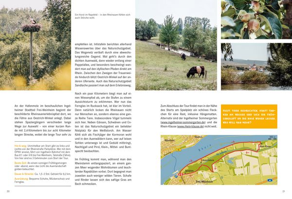Produktbild: 52 kleine & gro&szlig;e Eskapaden in Rheinhessen