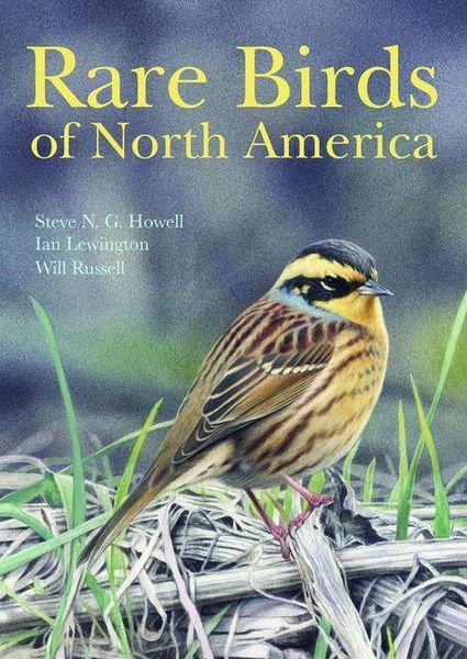 Produktbild: Rare Birds of North America