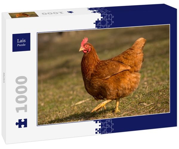 Produktbild: Lais Puzzle Huhn 1000 Teile