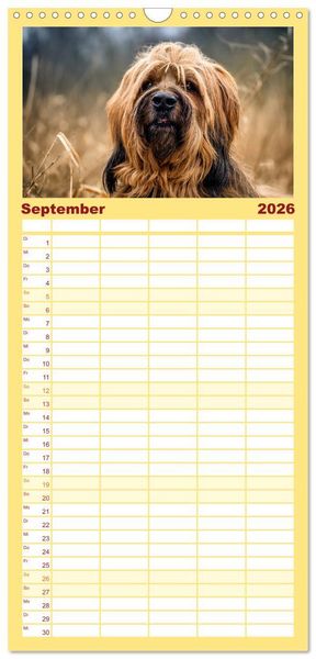 Produktbild: Familienplaner 2026 - Der Briard - Ein echter Charmeur mit 5 Spalten (Wandkalender, 21 x 45 cm) CALVENDO