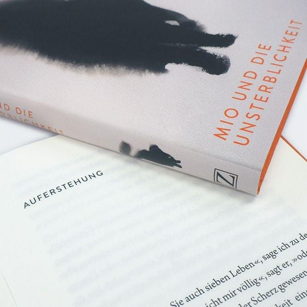 Produktbild: Mio und die Unsterblichkeit