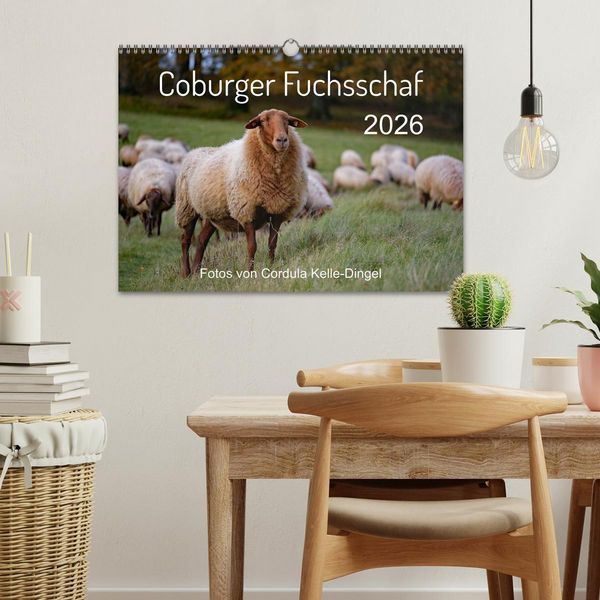 Produktbild: Coburger Fuchsschaf (Wandkalender 2026 DIN A3 quer), CALVENDO Monatskalender