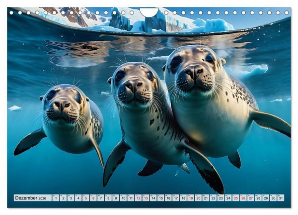 Produktbild: Freche Seehunde (Wandkalender 2026 DIN A4 quer), CALVENDO Monatskalender