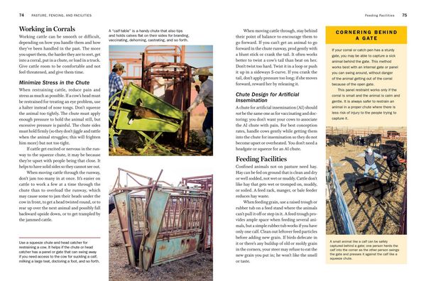 Produktbild: Storey's Guide to Raising Beef Cattle, 4th Edition