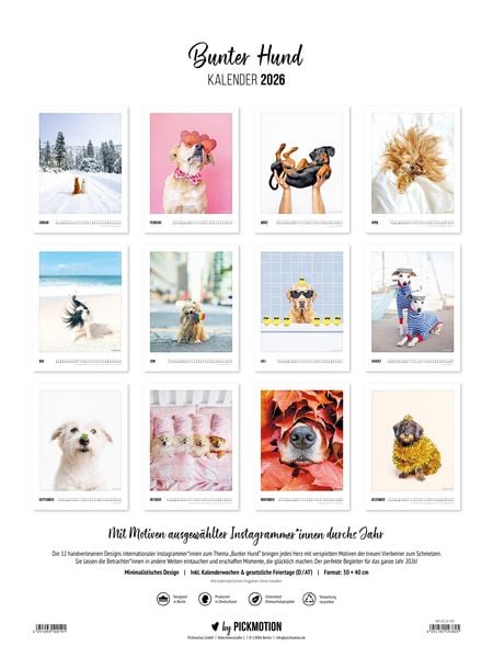 Produktbild: Wandkalender 2026 - Bunter Hund