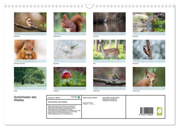 Produktbild: Sch&ouml;nheiten des Waldes (Wandkalender 2026 DIN A3 quer), CALVENDO Monatskalender