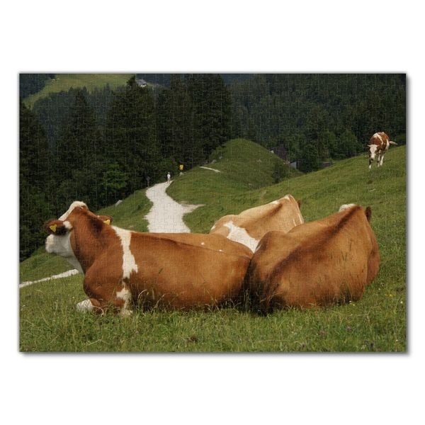 Produktbild: Lais Puzzle K&uuml;he 1000 Teile