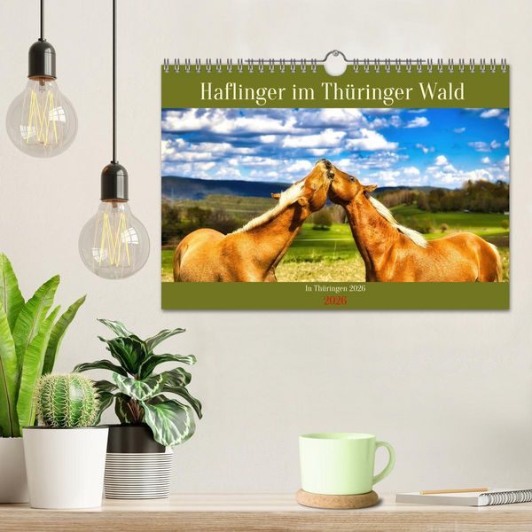 Produktbild: Haflinger im Th&uuml;ringer Wald (Wandkalender 2026 DIN A4 quer), CALVENDO Monatskalender