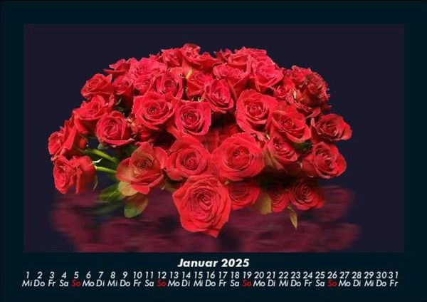 Produktbild: Rosen-Kalender 2025 Fotokalender DIN A5