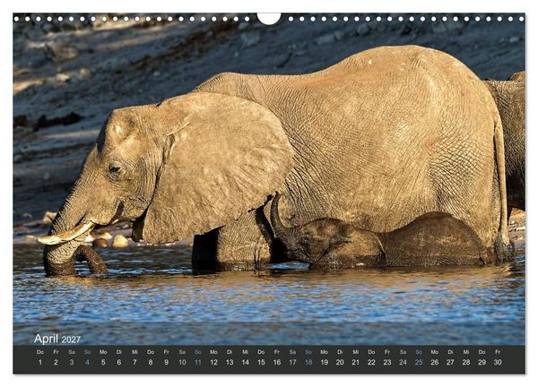 Produktbild: Elefanten (Wandkalender 2027 DIN A3 quer), CALVENDO Monatskalender