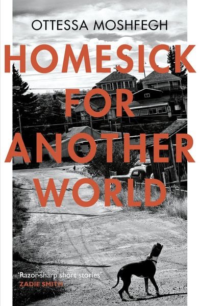 Produktbild: Homesick For Another World