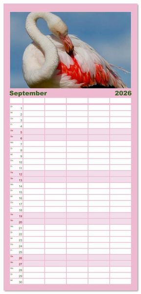 Produktbild: Familienplaner 2026 - The Power Of Pink mit 5 Spalten (Wandkalender, 21 x 45 cm) CALVENDO