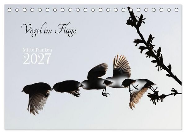 Produktbild: V&ouml;gel im Fluge (Tischkalender 2027 DIN A5 quer), CALVENDO Monatskalender
