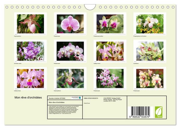 Produktbild: Mon r&ecirc;ve d'orchid&eacute;es (Calendrier mural 2026 DIN A4 vertical), CALVENDO calendrier mensuel